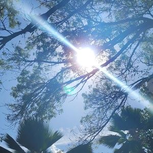 Meet your Posher, Isabel